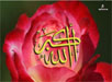 free islami wallpapers