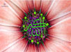 islam wallpaper