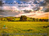 Beautiful Nature Wallpaper
