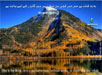 Beautiful Wallpaper