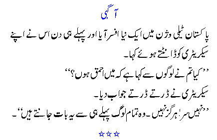 Dirty Jokes in Urdu for Girls In English In Hindi Punjabi For