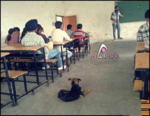 Funny Class Room