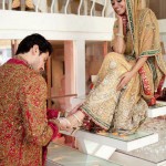 Paki Dress For Bridal